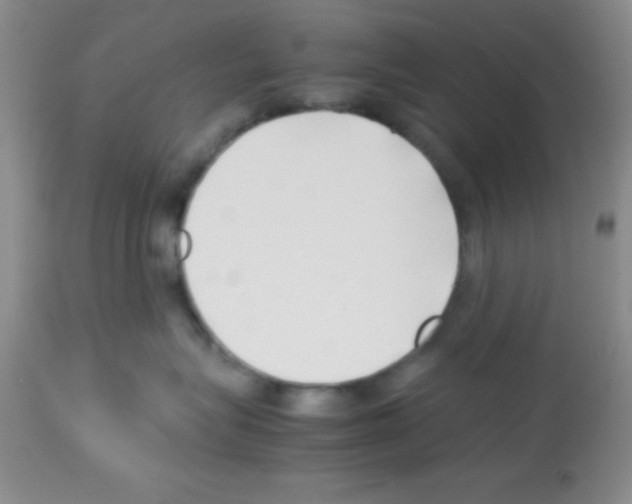 X0000113210575200910221105