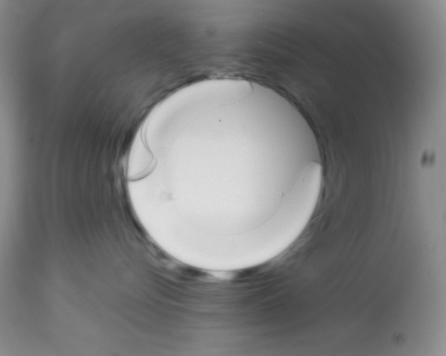 X0000113210576200910221105