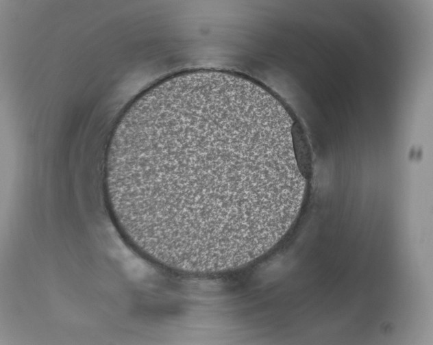 X0000113210577200910221105