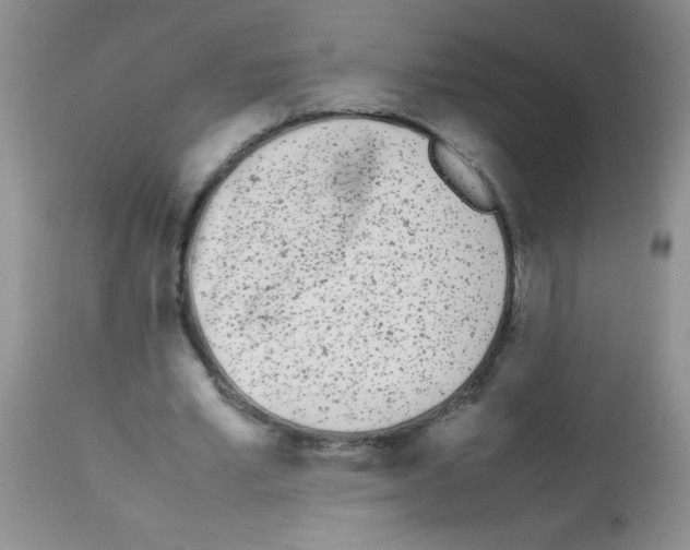 X0000113210581200910221104