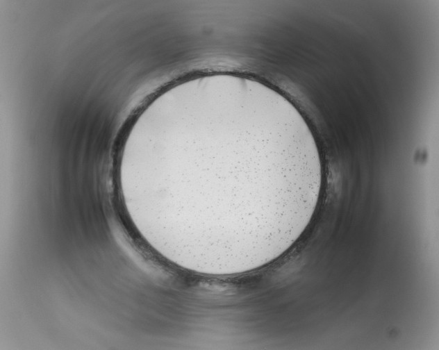 X0000113210582200910221104