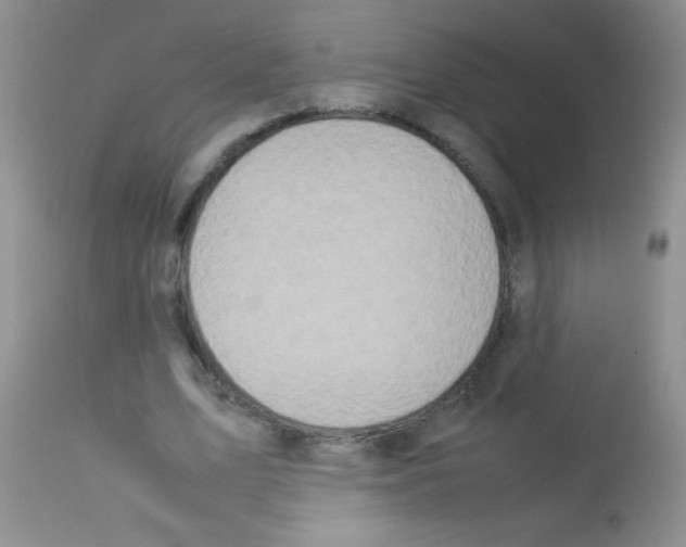 X0000113210583200910221104