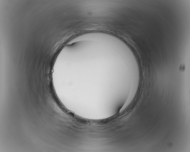 X0000113210585200910221104