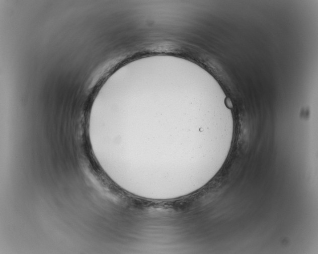 X0000113210586200910221104