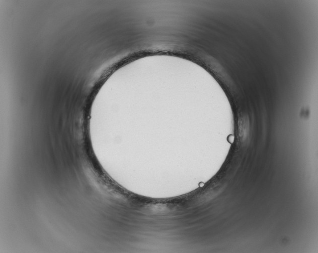 X0000113210588200910221104