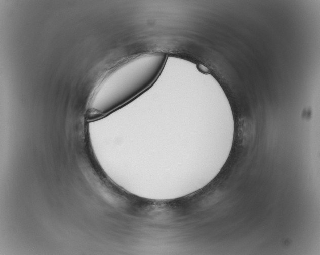 X0000113210589200910221104