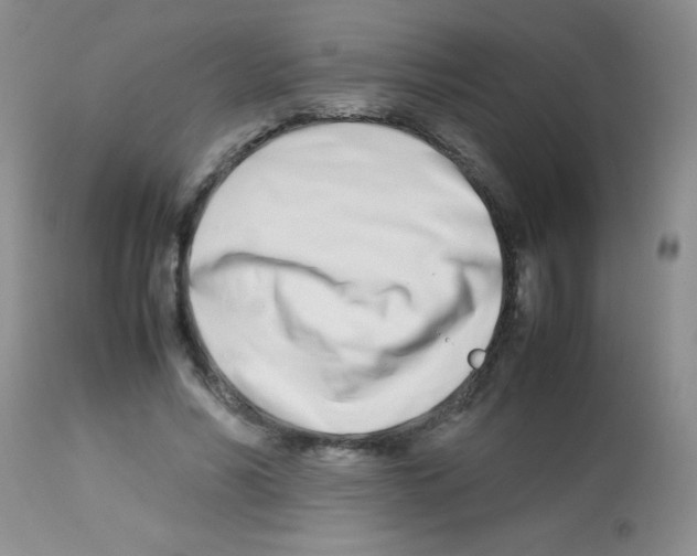 X0000113210590200910221104