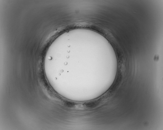 X0000113210591200910221104