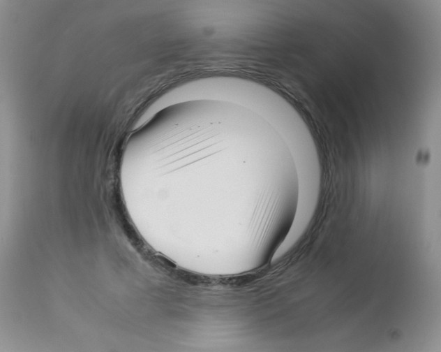 X0000113210593200910221104