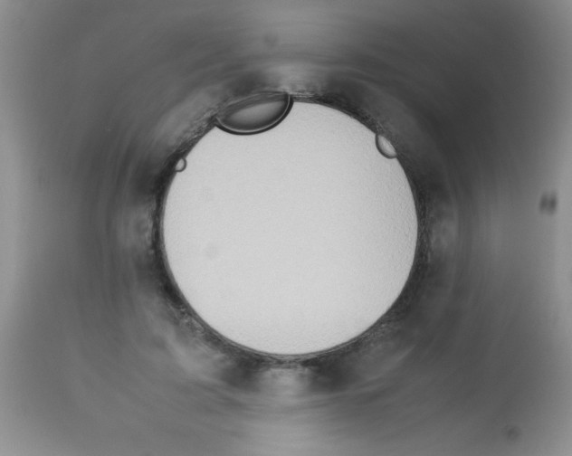 X0000113210595200910221104