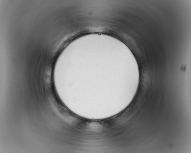 X0000113210596200910221104