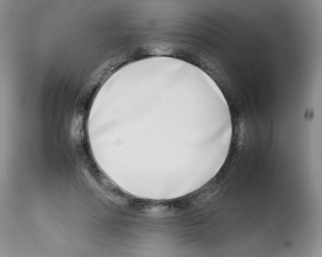 X0000113210598200910221104