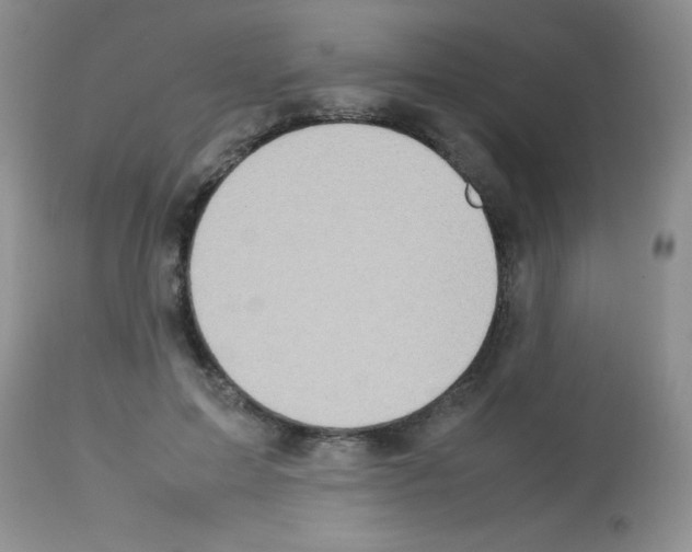 X0000113210599200910221104