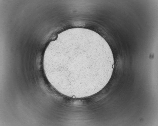 X0000113210600200910221104