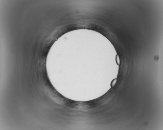 X0000113210601200910221104