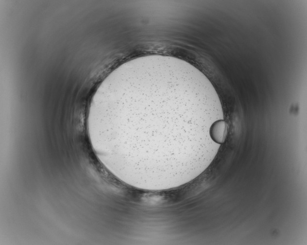 X0000113210602200910221104