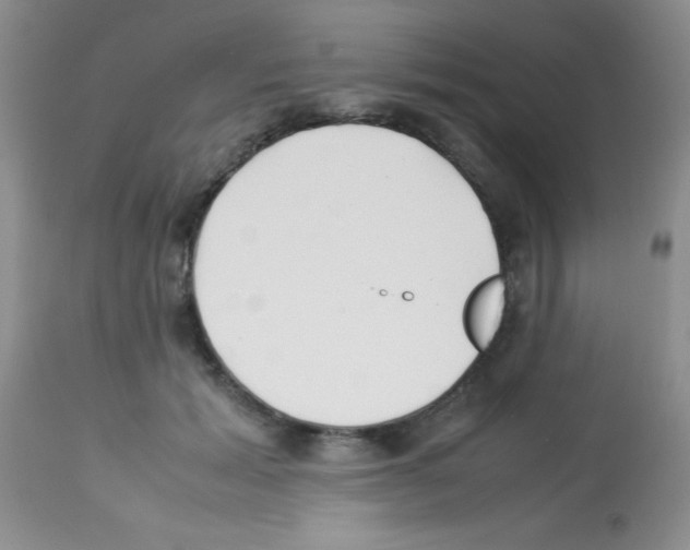 X0000113210605200910221104