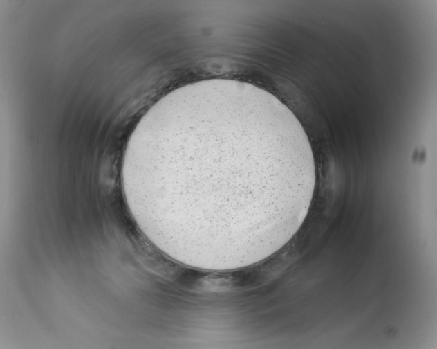 X0000113210606200910221104