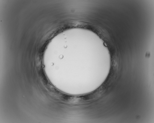 X0000113210607200910221104