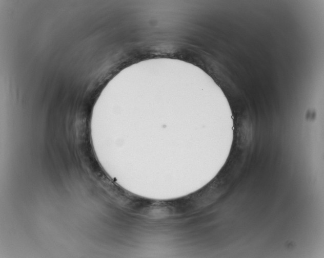 X0000113210608200910221104