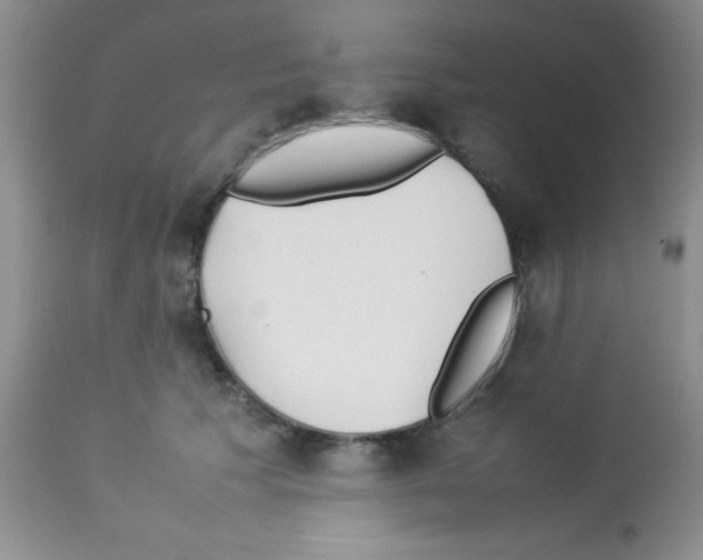 X0000113210609200910221104