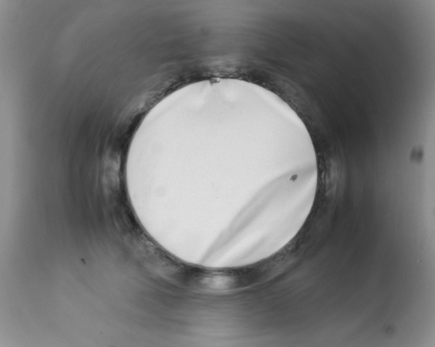 X0000113210610200910221104