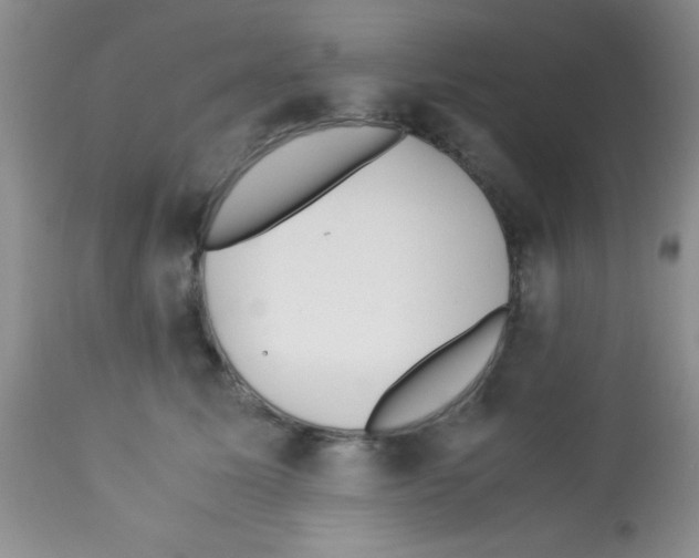 X0000113210611200910221104