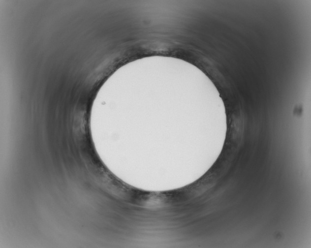 X0000113210612200910221104