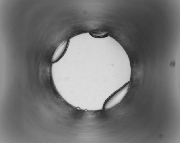 X0000113210613200910221104