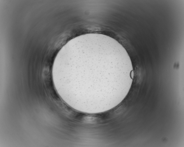 X0000113210614200910221104