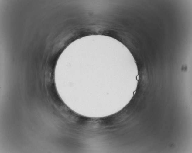 X0000113210615200910221104