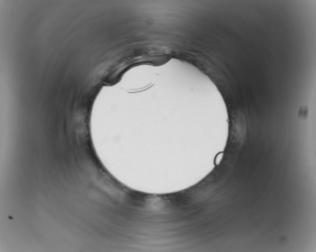 X0000113210616200910221104