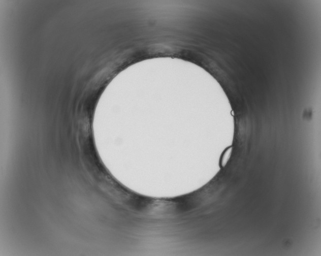 X0000113210617200910221104