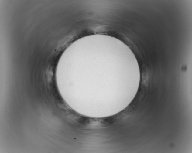 X0000113210618200910221104