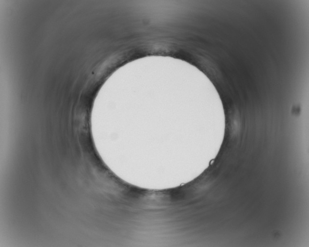 X0000113210619200910221104