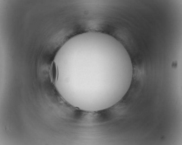 X0000113210621200910221104