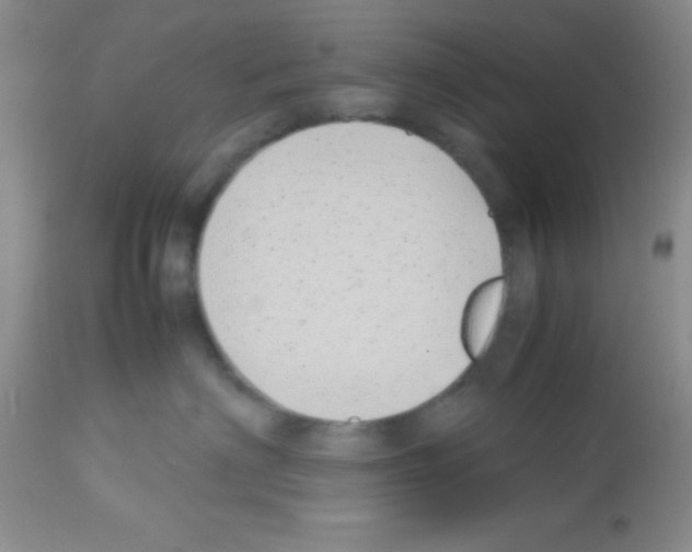 X0000113210622200910221104