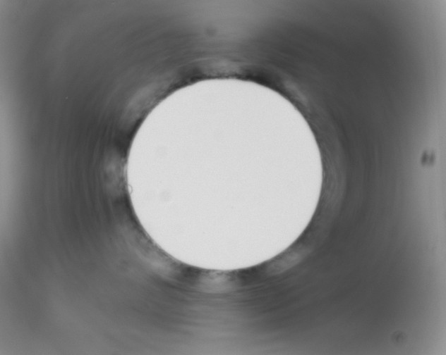 X0000113210624200910221104