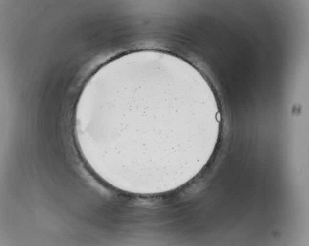 X0000113210625200910221103