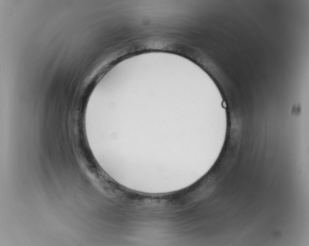 X0000113210626200910221103