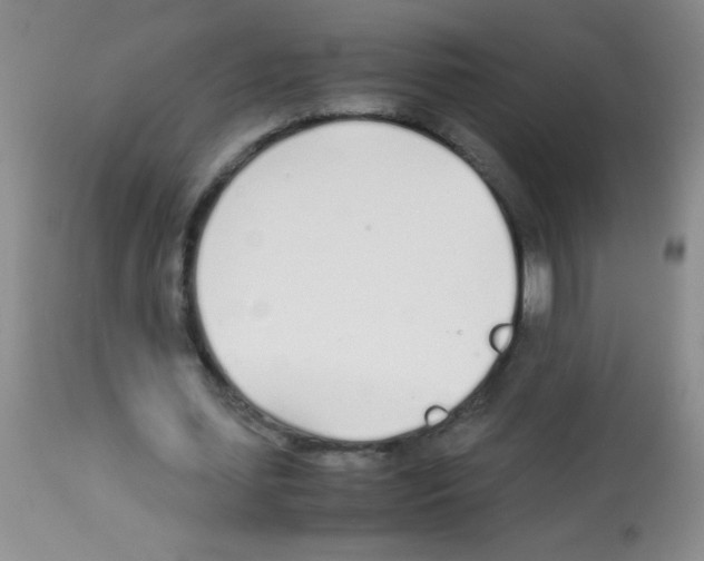 X0000113210627200910221103