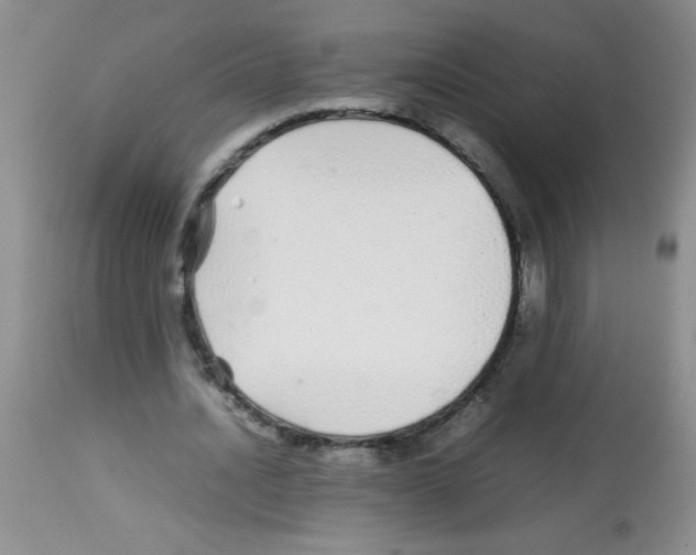 X0000113210628200910221103