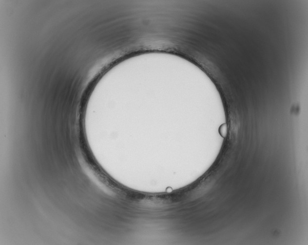 X0000113210630200910221103