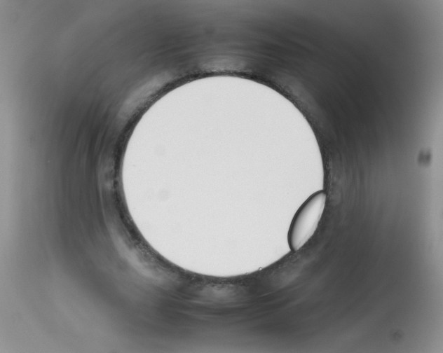 X0000113210631200910221103