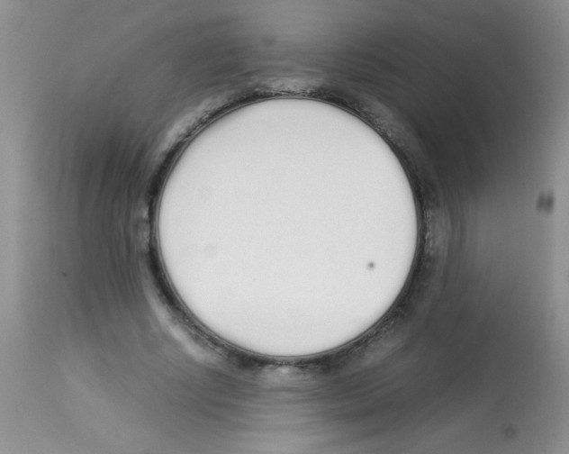 X0000113210634200910221103