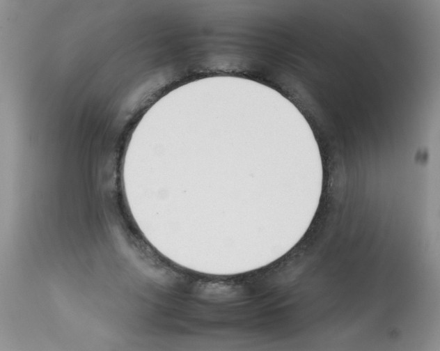 X0000113210635200910221103