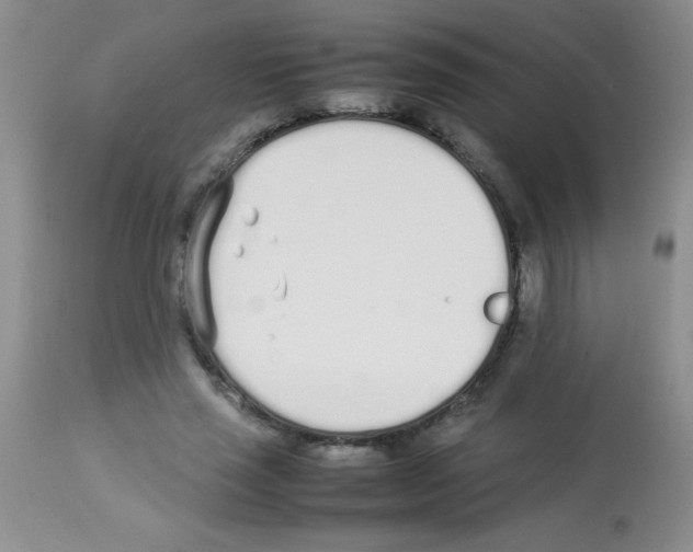 X0000113210637200910221103