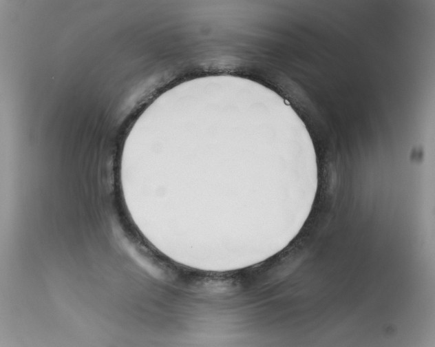 X0000113210638200910221103