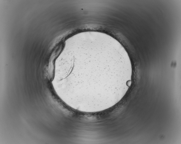 X0000113210640200910221103