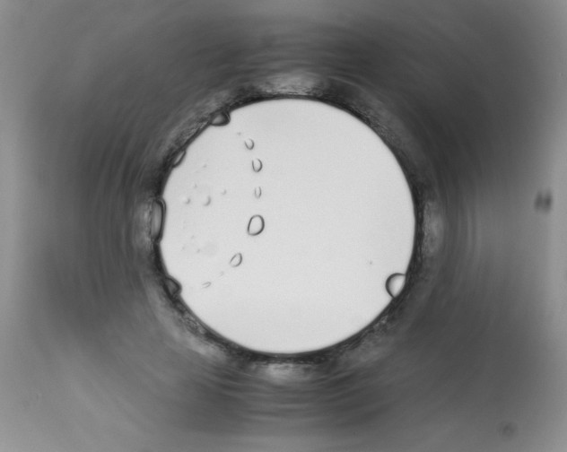 X0000113210641200910221103